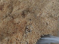 -徐记红川肉烧饼