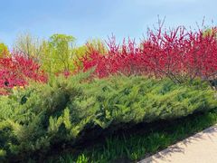 -永定河休闲森林公园