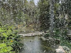 -吉隆坡雀鸟公园