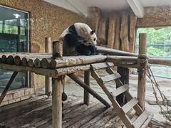 -常州淹城野生动物世界