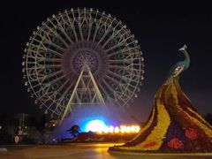 -七彩云南欢乐世界