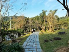 -深圳仙湖植物园