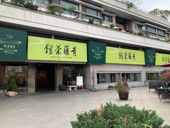 -青藤茶馆(南山路店)