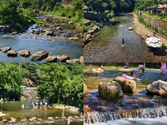 -北仑森林植物园