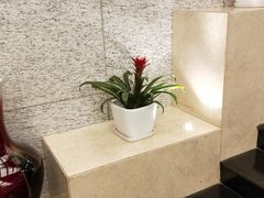 -汤泉良子.足疗按摩.SPA(中关村店)