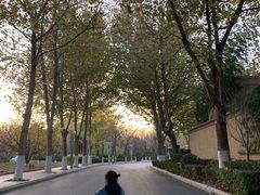 -春晖园度假酒店温泉