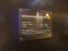 -新加坡航空公司(ION)