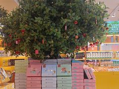 -金顺昌桂林桂花伴手礼(正阳一店)