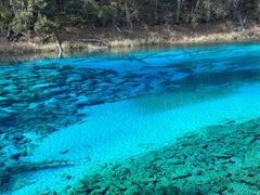 -乡土特色.冷锅鱼.牦牛肉汤锅