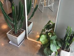 -dotcom coffee古点咖啡(致真大厦店)