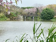 -海珠湖公园