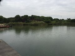 -昆山城市生态森林公园