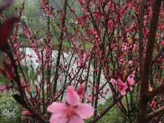 -常德桃花源景区
