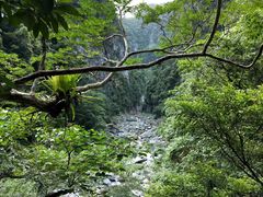 -太鲁阁公园