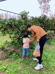 -前小桔亲子创意农场·草莓采摘·露营烧烤