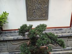 -松云泽