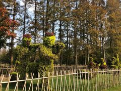 -上海长兴岛郊野公园