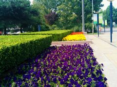 -唐山抗震纪念碑广场