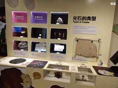 -正佳自然科学博物馆
