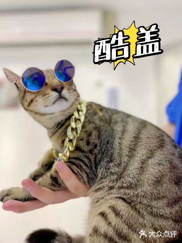 现在哪里还有超值洗护㊙️终于被我找到这家店啦‼️