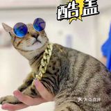 现在哪里还有超值洗护㊙️终于被我找到这家店啦‼️