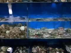 -老船长海鲜坊