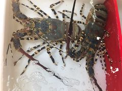 -班赞海鲜市场胖阿姨加工点