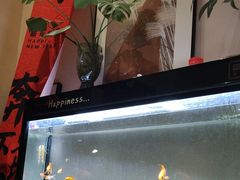 -蓝山四季西餐植物店