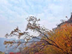 -狼牙山风景区