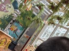 -正佳雨林生态植物园