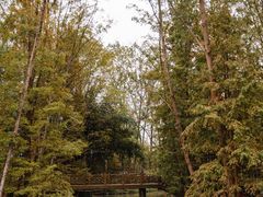 -桤木河湿地公园