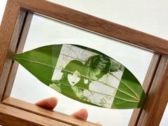 -寒香会社(平江路店)