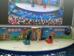 -成都浩海立方海洋公园