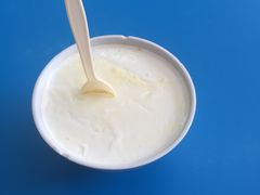 酸奶-德禄酸奶(莫家街店)