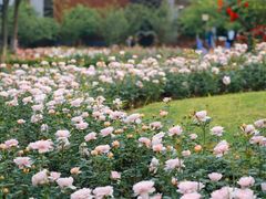 -武汉园博园(武汉自然博物馆)