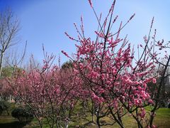 -滨湖塘西河公园