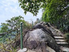 -南山植物园