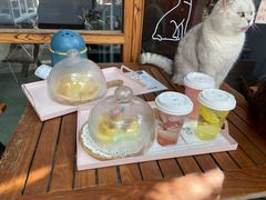 -喵屿·大理花园猫咖