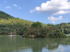 -广州白江湖森林公园