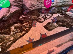 -沈阳海洋探索中心