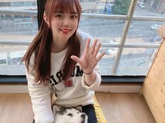 -Husky Go! 哈士奇体验馆·宠物咖啡厅狗咖