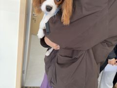 -宠颐生猫科·内科皮肤科(西平世纪城店)