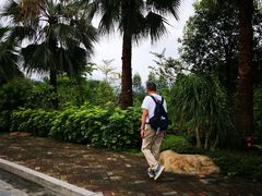 -三英温泉度假酒店-自助餐厅