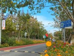 -前小桔亲子创意农场·草莓采摘·露营烧烤