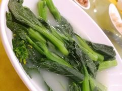 -鸿达渔港