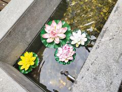 店里小荷花-外婆船宴餐厅·外婆喊你回家吃饭