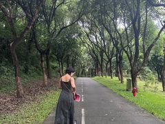 -燕晗山郊野公园