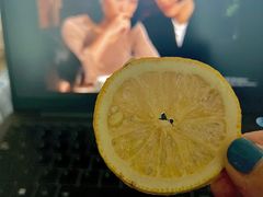 -麦德龙(闵行店)