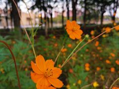 -白塘生态植物园