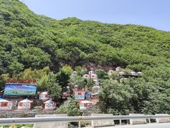 -牛背梁国家森林公园
